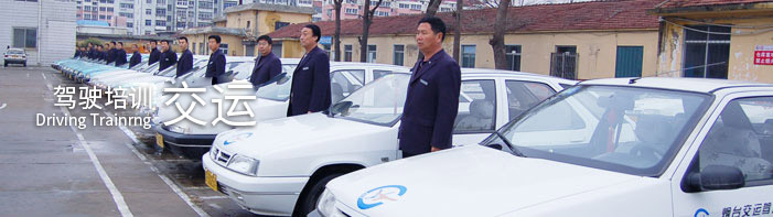 駕校服務(wù)